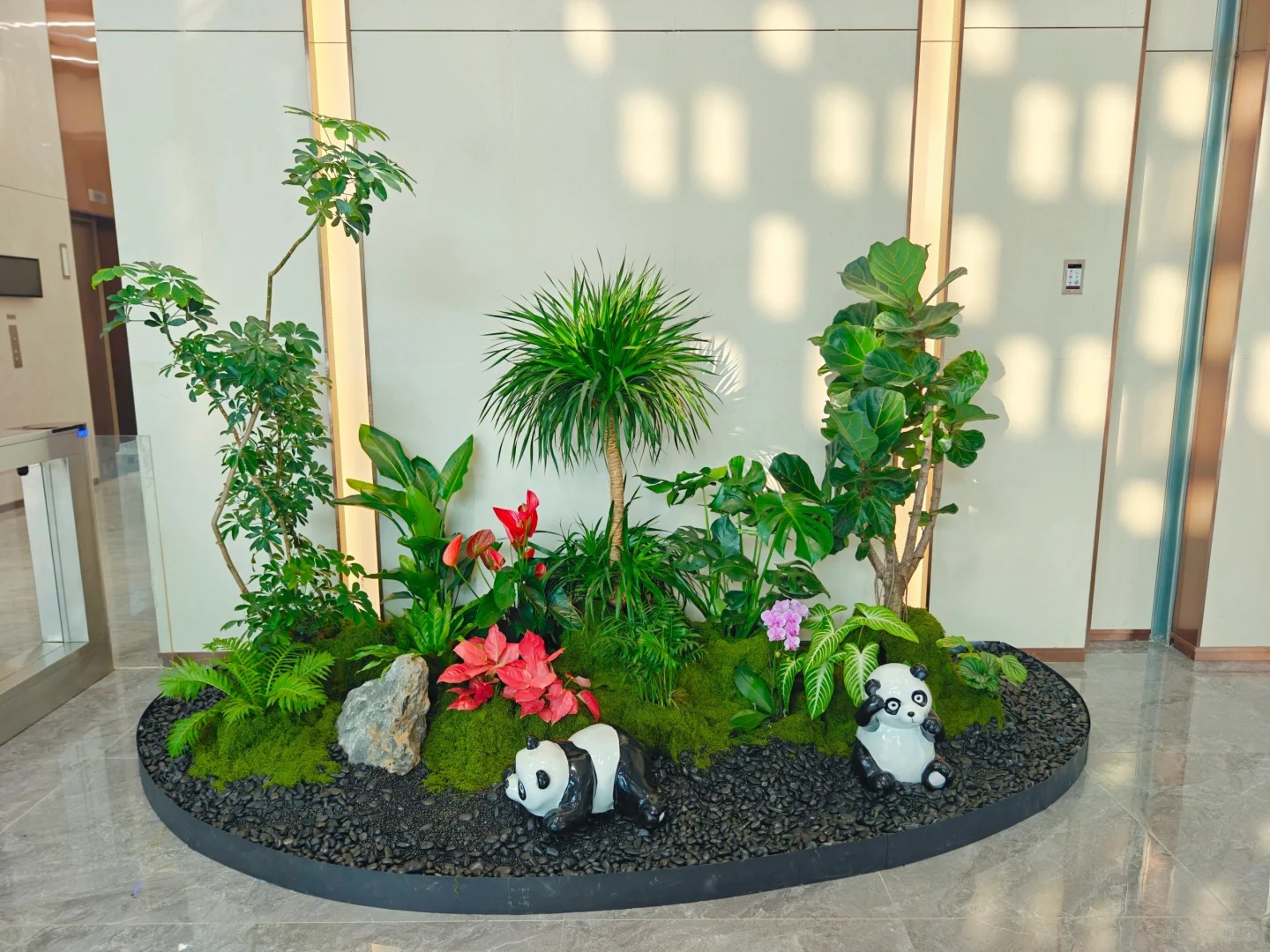 专业余姚植物租摆,让绿植点亮每一处空间!